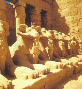 Esc, XIII, DIN XIX Dios Amn como Carnero, Santuario de Karnak, Ramss II, 1279+-1213