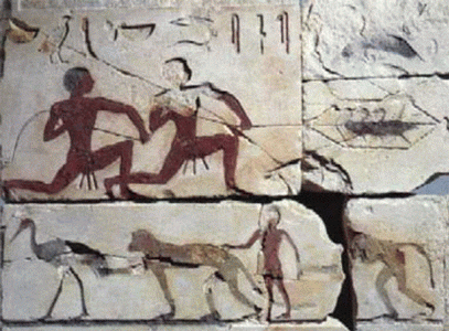 Esc, XXVI-XXV, DIN IV, Mastaba de Nefermaat hijo d eSnefru, Ny Carrlberg Clyp