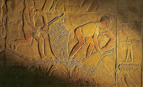 Esc, XXVI-XXV, DIN IV, Pescadores del Nilo