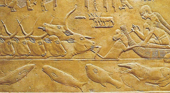 Esc, XXIV-XXII, DIN VI, Ganado atravesando el ro, relieve, Tumba de Kagemi, Saqqara