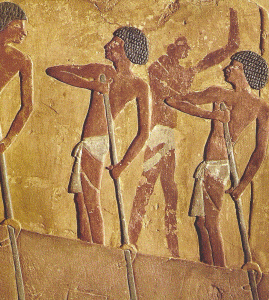 Esc, XV, DIN XVIII, Hapshepsut, Expedicin al pas de Punt, Templo de Dehir el Bahari, 1473-1458