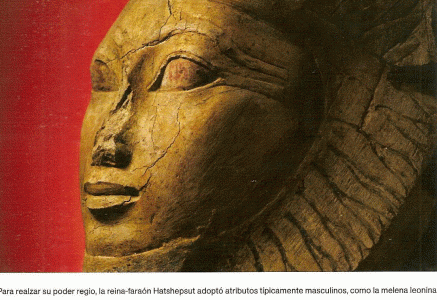 Esc, XV, DIN X VIII, Retrato de Hatshepsut, domo len, perfil, 1473-1458