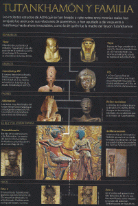 Esc, XIV, DIN XVIII, Tutankhamn y su familia, 1334-1325