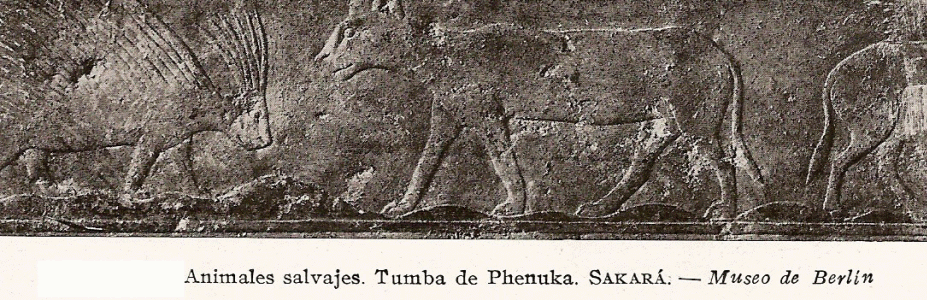 Esc, XXV-XXIV, DIN V, Mastaba, animales, relieve, M. Egipcio, Berln, Alemania, 2465-2345