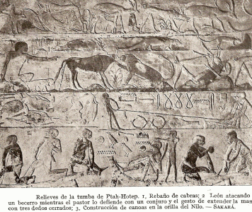 Esc. XXV-XXIV, DIN V, Mastaba, relieves, Saqqar, 2465-2345