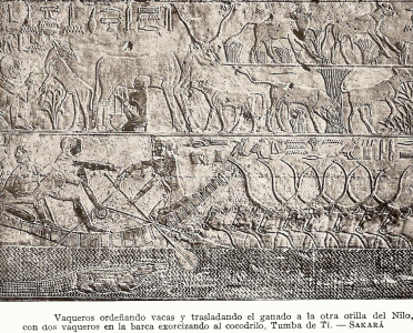 Esc, XXV-XXIV, DIN V, Mastaba, relieves, Saqqar, 245665-2345