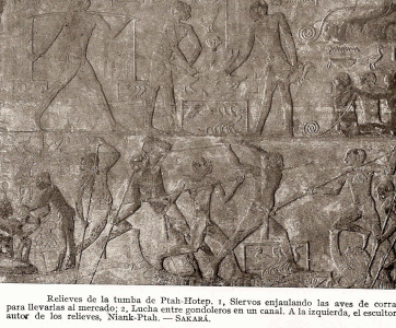 Esc, XXV-XXIV, DIN V, Mastaba, relieves, Saqqar, 2465-2345