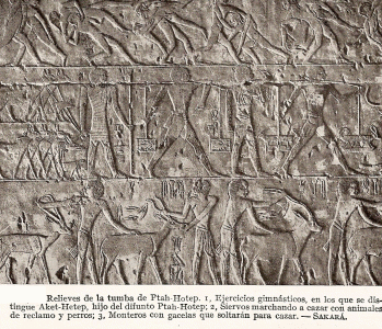 Esc, XXV-XXIV, DIN V, Mastaba, relieves, Saqqar, 265-2345