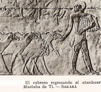 Esc, XXV-XXIV, DIN V, Mastaba Cbarero regresando a casa, Saqqar, 2465-2345