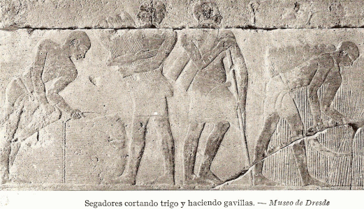 Esc, XXV-XXIV, DIN V, Segadores, relieve, M. de Dresde, Alemania, 2465-2345