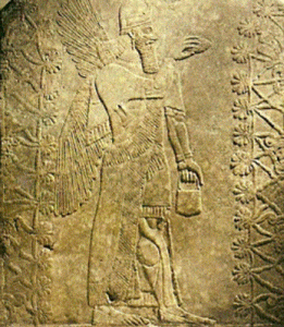 Esc, IX aC., Assurbanipal II, Genio alado, Palacio NO, Nimrud, Brooklyn Museum, N. York, USA, 883-859