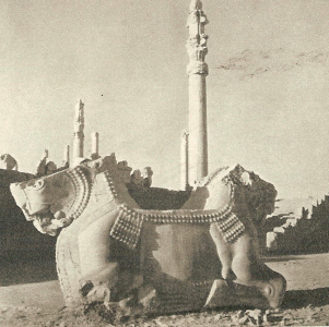 Esc, VI-V, Columnas y capitel, Perspolis