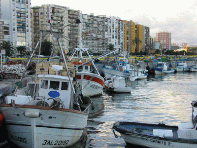 Geo, Andaluca, Econmica, Pesca, Puerto de Algeciras, Cdiz