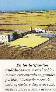 Geo, Andaluca, Econmica, latifundio, Cortijo