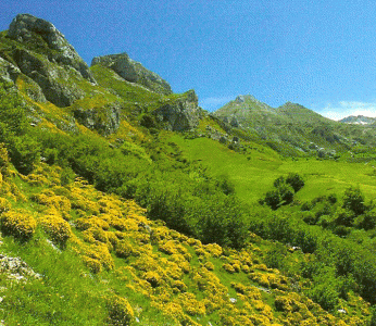 Geo, Asturias, Fsica, Vegetacin, Cordillera Cantbrica, paisaje ocenico