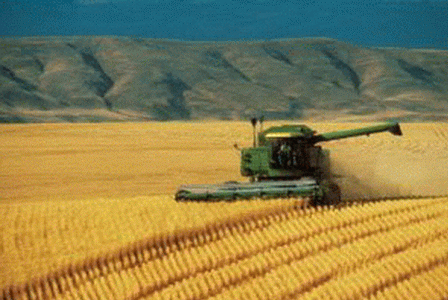 Geo, Castilla-La Mancha, Econmica, Agricultura Moderna, Cereal, Cosechadora
