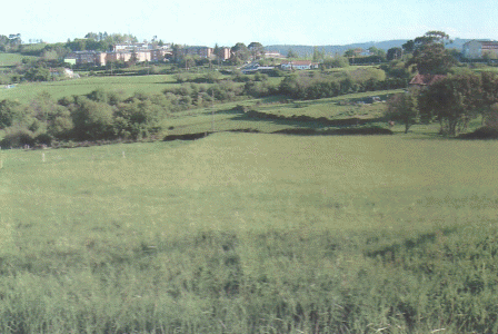 Fsica, Euskadi, Vegetacin, Bocage, pradera, junto a la aldea