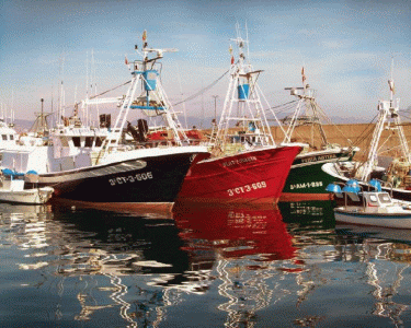 Geo, Murcia, Econmica, Pesca, Flota artesanal, bajura, en Puerto de Aguilas