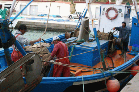 Geo, Econmica, Pesca, Pescadores faenando en el puerto, Murcia