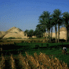 Econmica, Agricultura actual, Egipto