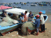 Econmica, Pesca, Artesanal, Arreglando las Redes, Egipto