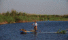 Econmica, Pesca Tradicional en el Nilo, Egipto