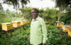 Econmica, Agricultura, Hortocultura, Sudan Sur