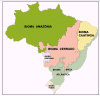 Fisica Vegetacion mapa Biomas Brasil