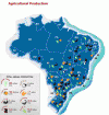 Economica Agricultura Produccion Mapa  Brasil