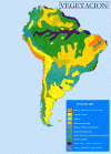  Fisica Vegetacion Mapa Brasil