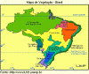 Fisica Vegetacion Mapa Brasil