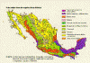 Fisica Vegetacion Principales Tipos Mapa Mexico