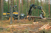 Economica Explotacion Forestal Traslado de la Corta Tractor USA