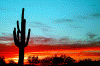 Fisica Clima Desierto de Arizona USA