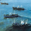Economica Pesca Moderna Maritima Flota China