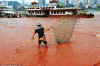Economica Pesca Tradicional Rio Yangtze o Rojo China