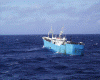 Economica Pesca Barco