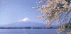 Fisica Relieve Monte Fiji o Fuji-san en el lago Kawaguchi Papon