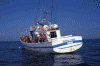 Economica Pesca al Currican Francia