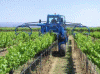 Economica Agricultura Viticultura Mecanizacion Italia