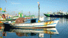 Economica Pesca Italia-Espana-Tunez  Aouestan por la  Pesca Artesanal