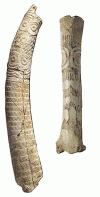 Prehistoria Espana Esc Neolitico Idolos de Ereta del Pedregal Valencia y Cova Pastora Alcoy Alicante 2700 a 2200