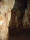 Prehistoria Pin MMD aC Paleollitico-Eneolitico-Neolitico Cueva de la Pineta Serrania de Ronda Malaga Espana 250.000 Ac
